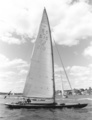 Sk 55 S 15 Ninni Vaxholm 1992