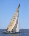 LYN FIN 37