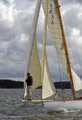 Asagao, orig 8 mR first rule, Johan Anker 1908