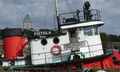 Poitsila on myytävänä - hinta selsiää tuosta puhelinnumerosta.