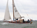 Nemea FIN-551