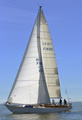 Lygaia FIN-95