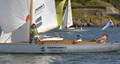 Hai Hermann's FIN-251