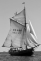 Astrid rakennettiin 1947 Porvoon maalaiskunnassa rannikkoliikenteeseen kuljettamaan halkoja, hiekkaa ja muita tarveaineita. Astrid tekee nyt erilaisia charter-matkoja. Laiva kuuluu Perinnealusrekisteriin.
Astrid was built in 1947 for coastal traffic. She transported wood, construction materials, sand etc. The ship is now used as charter sailings. Astrid is registered as Traditional Ship.