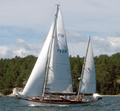 Calypso