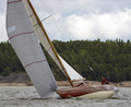 Sk 75 m2 Falken