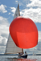 Blue Marlin
