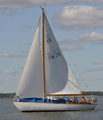 Miranda Havsörn FIN-39