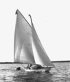 Ingomar, Universal Rule 6m Foto EH
Foto EH