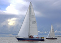 S&S Swan Martha