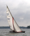 Aralia L-9083, ranskalainen Hai, Le Requin, Tuoppi 2005