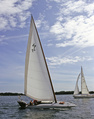 Ljungström Stockholms skärgård 2005