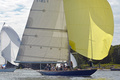 Blue Marlun 12 mR FIN-1