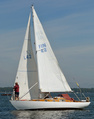 Friendship FIN 42