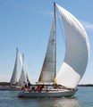FIN 7444