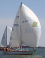 FIN 8830 Ligatura