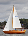 FIN 60 Pinta, Viaporin Tuoppi 2004