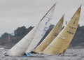 Silene FIN 61 et al Helsinki regatta 2011