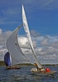 6 mR FIN 63 Boree II