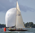 Bambi FIN 66 Sinebrychoff Challenge 2011