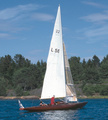 Sk 22 FIN 56 Flamingo
