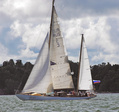Zvezda ex Stella in Tall Sip's race 2009