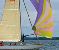 Antje FIN 77 Shampanjaregatta 2016
